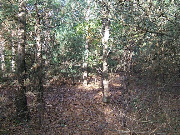 4th image of 3645 Scenic Woods Cir E