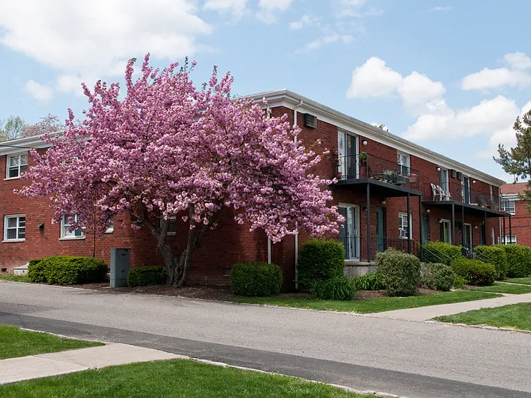 Ample Outdoor Space For Parking