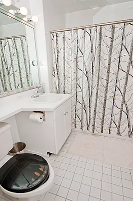 Rented by The Maher Group  | media 3