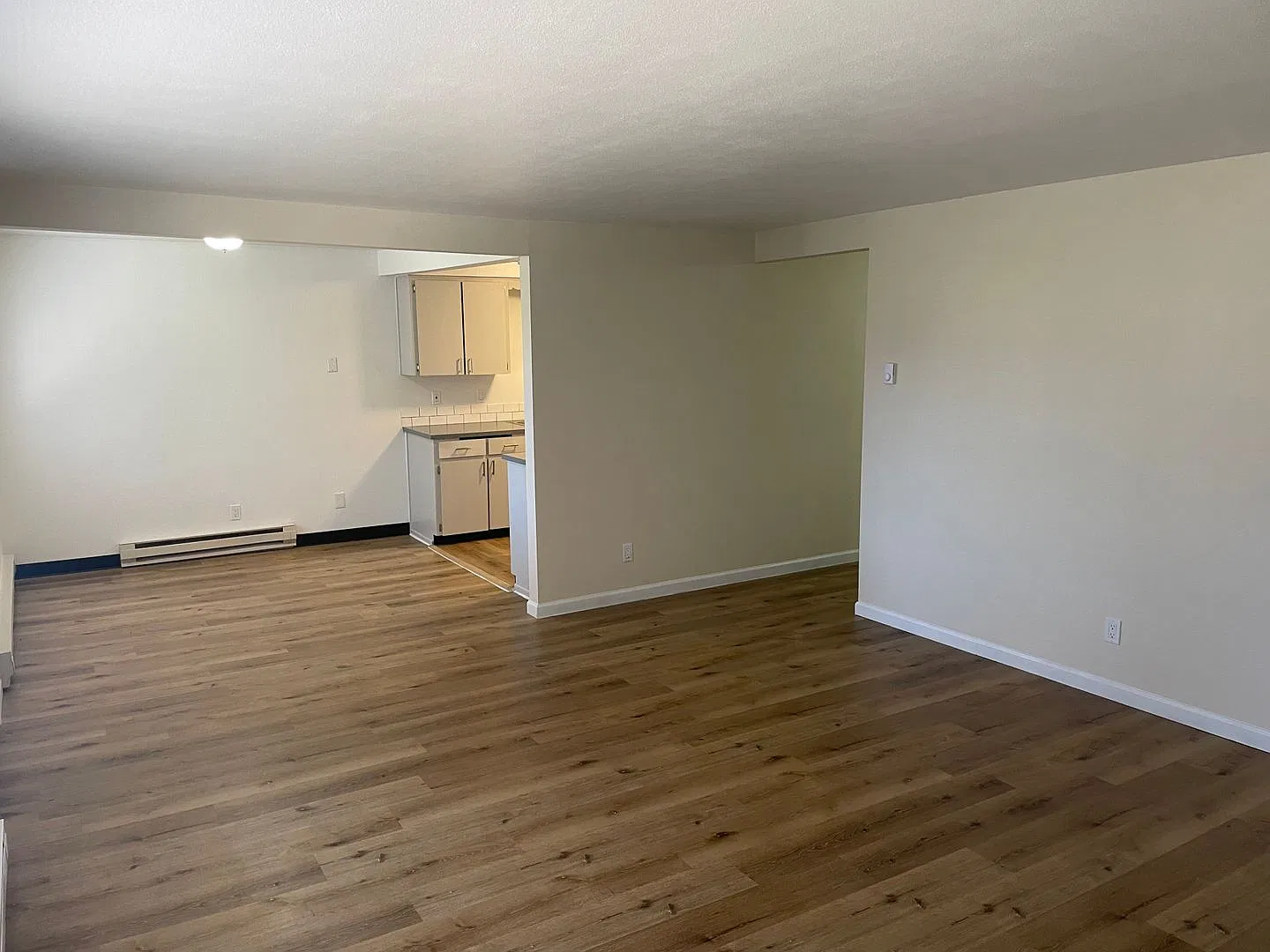 Coidylwood — Photo 4