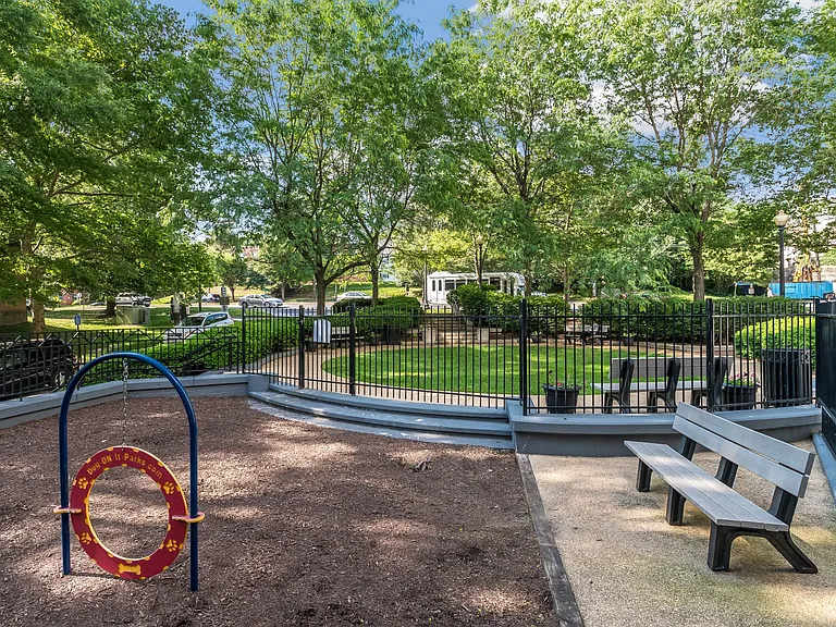 Dog park