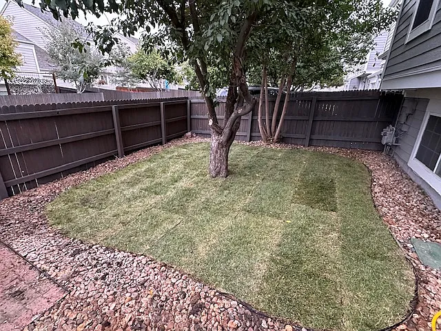 spacious backyard