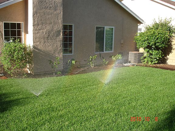 rear yard grass