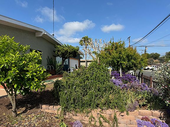 Front yard with grapefruit, lemon, guava, and pomegranate trees.