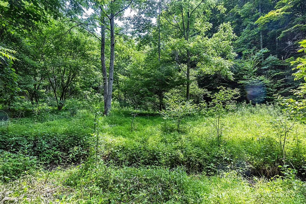 LOT 9 Lone Star Rd photo 1