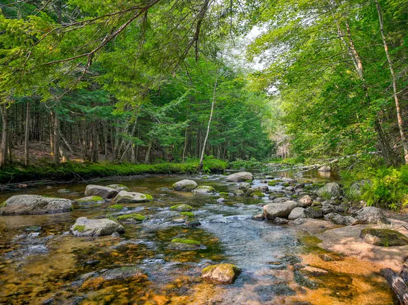 12 Shepherd River Road, Brownfield, ME 04010