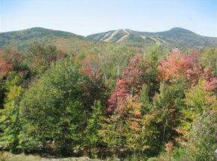 125 W Branch Rd, Waterville Valley, NH 03215