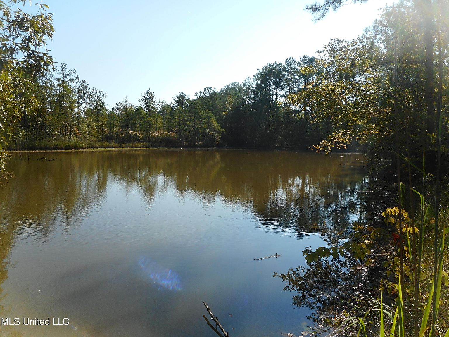 487 Highway, Lena, MS 39094 Zillow