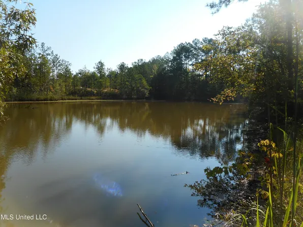 487 Highway, Lena, MS 39094