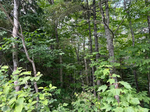 LOT 2 Butler Rd #2, Kings, NS B4N 3V8