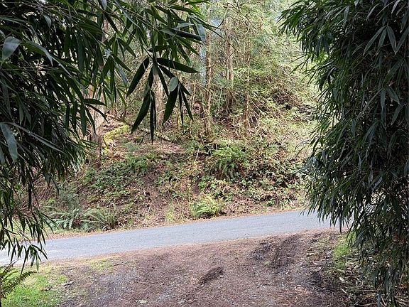 5th image of 2359 Kendall Rd