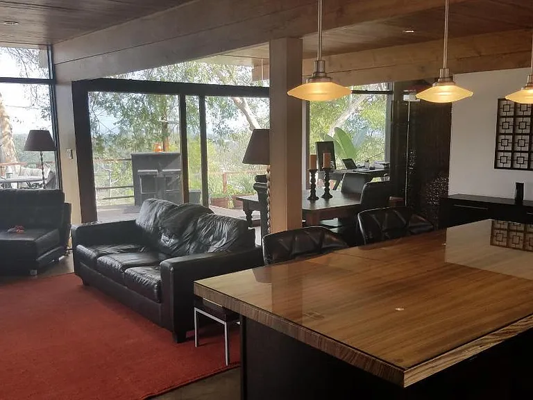 Expansive wall of windows paired with a striking zebra wood kitchen island.
