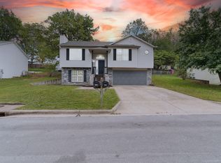 225 Blossom Valley, Branson, MO 65616
