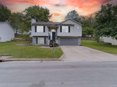 225 Blossom Valley Road, Branson, MO, 65616