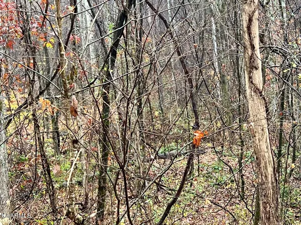 8 Butler Rd, Decatur, TN 37322