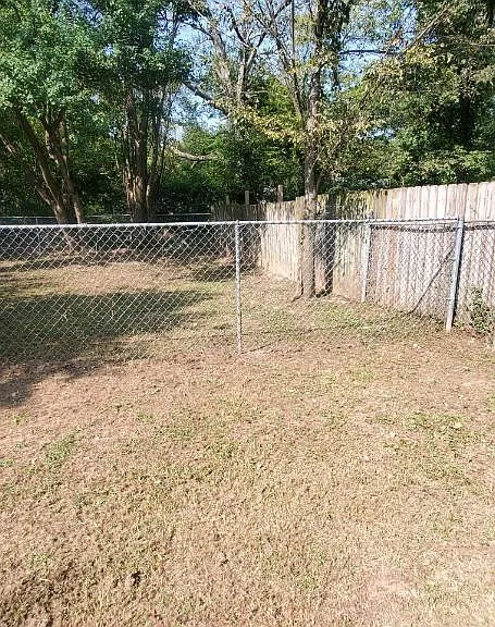 Backyard-1