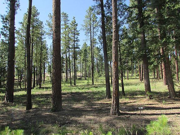 HOA ONLY $100 a year