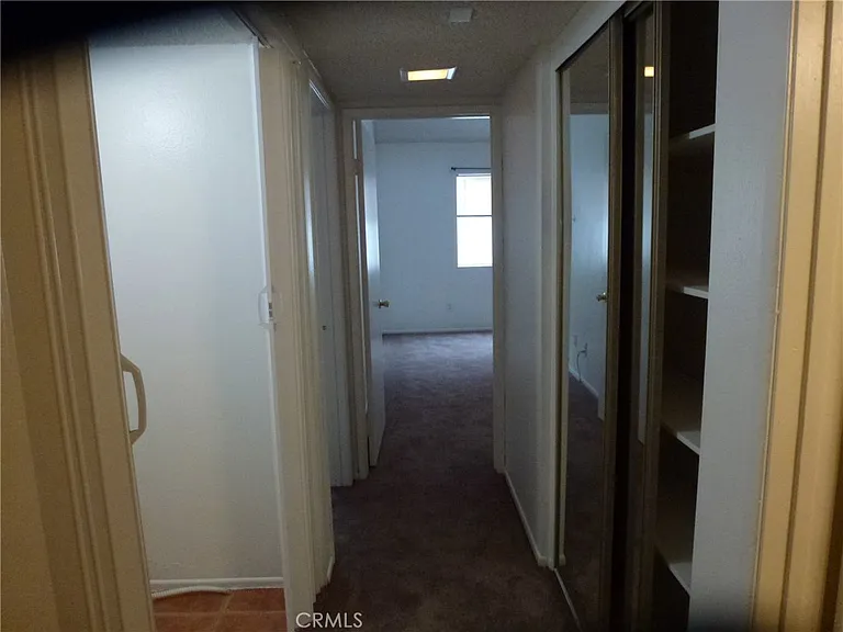 1211 S Palmetto Ave #C — Photo 14