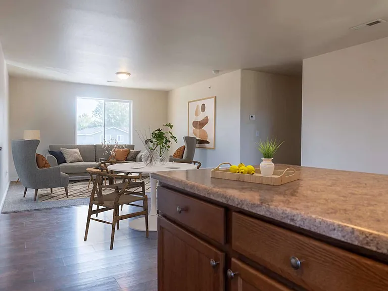 Apartment Living Area
