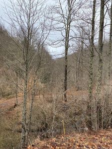 0 Lynn Springs Rd, Swords Creek, VA, 24649