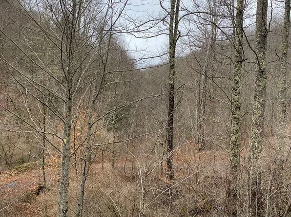 0 Lynn Springs Rd, Swords Creek, VA 24649