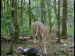 Big Woods Rd, Church Hill, MD 21623