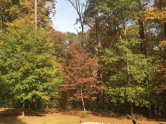 Enjoy the fall foliage!