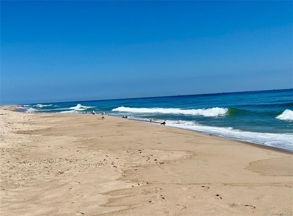 25 Mako Ln, Amagansett, NY 11930 Out East