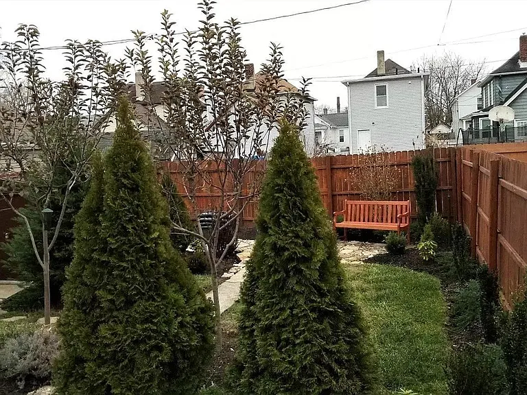 Back yard view