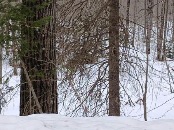 County Line Lake Xrds Lot 1, Watersmeet, MI 49969