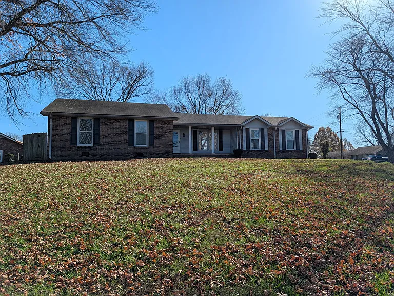 Great corner lot with mature trees