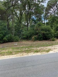 SW 38th Ave, Ocala, FL, 34476
