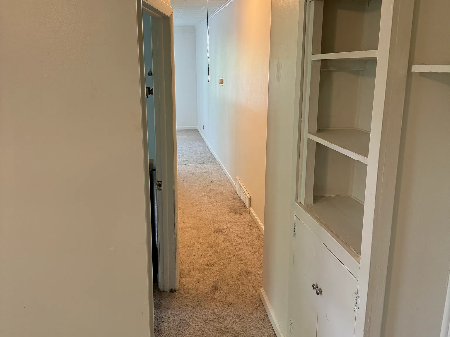 1 bed, $1,200 — Photo 2
