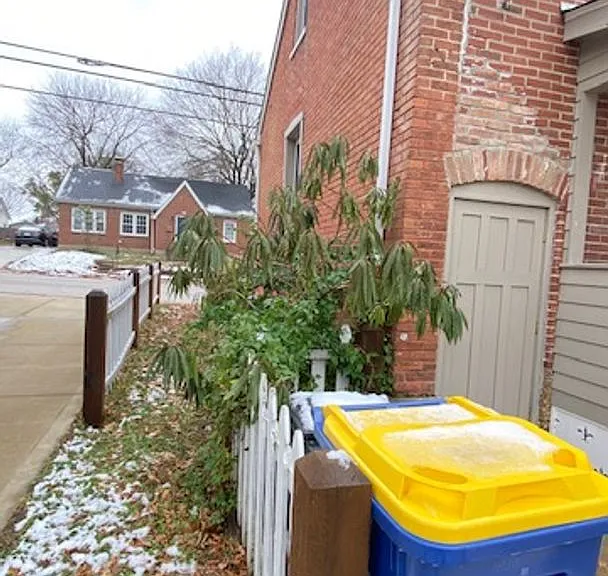 414 Stafford St — Photo 19