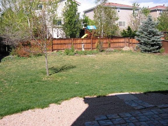 Large fenced backyard