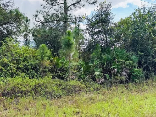 311 Dill Ave, Lehigh Acres, FL 33974