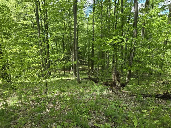 McClish Aka Bigge, Copemish, MI 49625