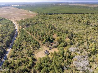 0 Lizzie Henry Rd, Ivanhoe, NC 28447