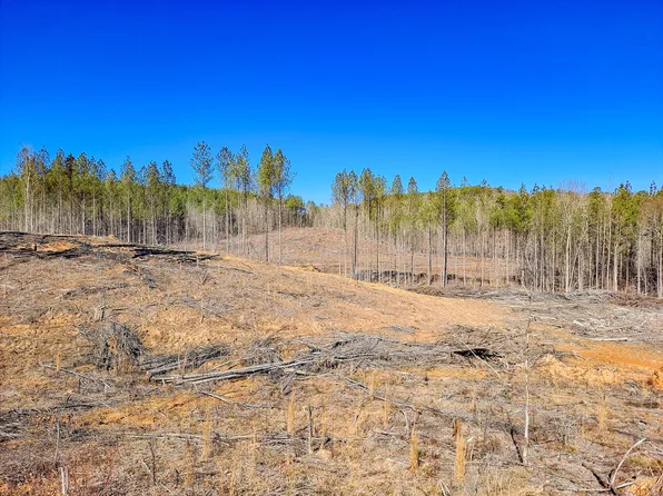 Bluewater Trce, Berry, AL 35546