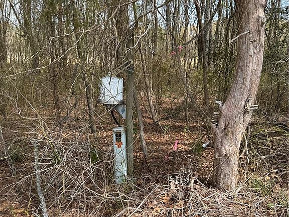 4th image of 451AC Hog Island Rd