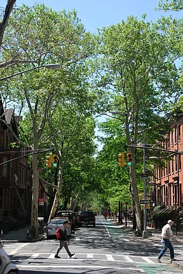 Sold by Engel and Völkers Brownstone Brooklyn | media 18