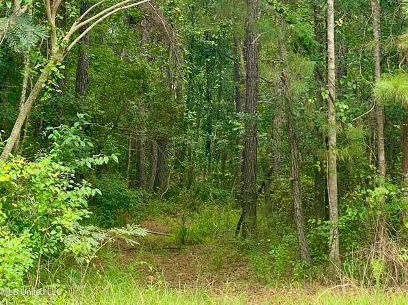 3185 Jackson Landing Rd, Picayune, MS 39466