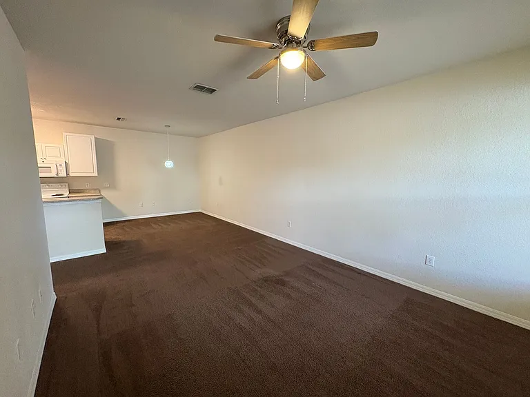 1003 Hemingway Cir — Photo 4