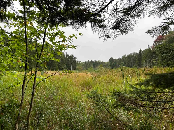 1625 VT Route 9, Searsburg, VT 05363