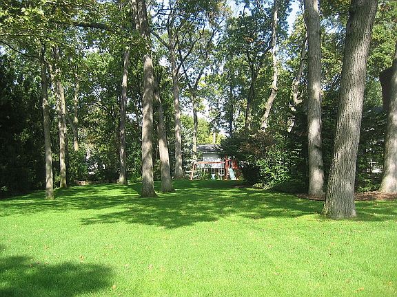 Large oak-filled yard