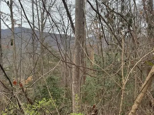 2264 Stoneview Way, Cosby, TN 37722