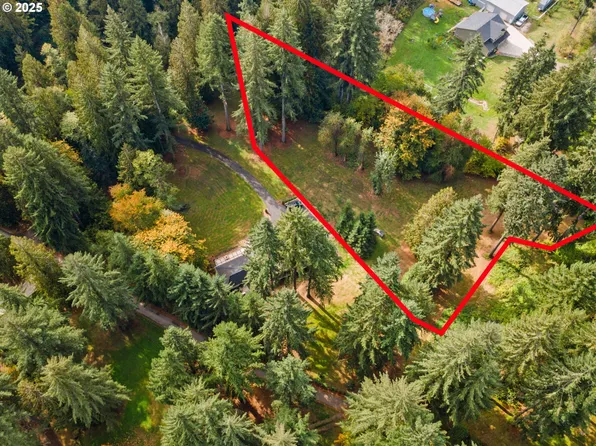 NE Doneta Rd, Brush Prairie, WA 98606