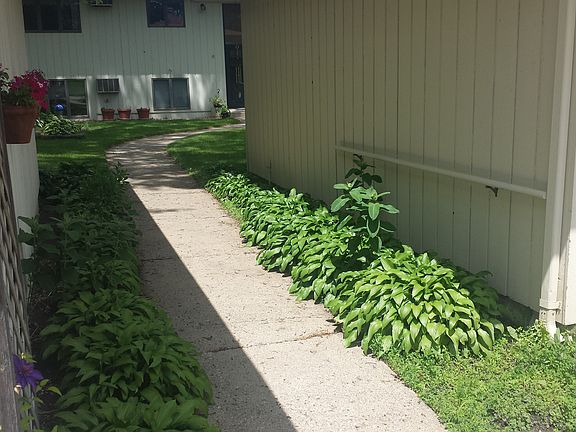 2nd image of 409 Lincoln St N APT C