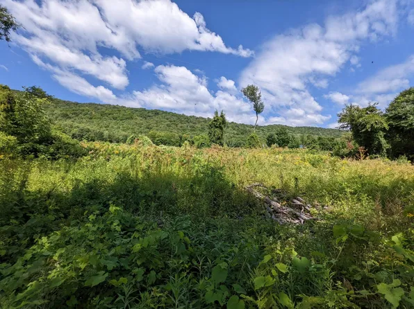 98 Mountain View Road, Tinmouth, VT 05773