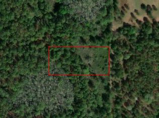 0 Poyner Rd, Polk City, FL 33868